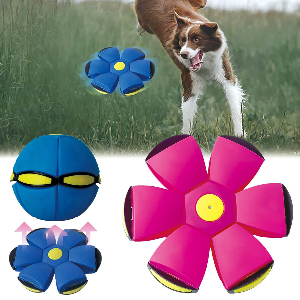 BADWALT FlidRunest front-view highlights dual shapes for interactive play