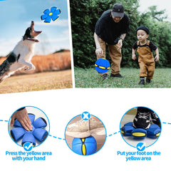 BADWALT outdoor dog toy supports exercise with safe, engaging fetch routines.