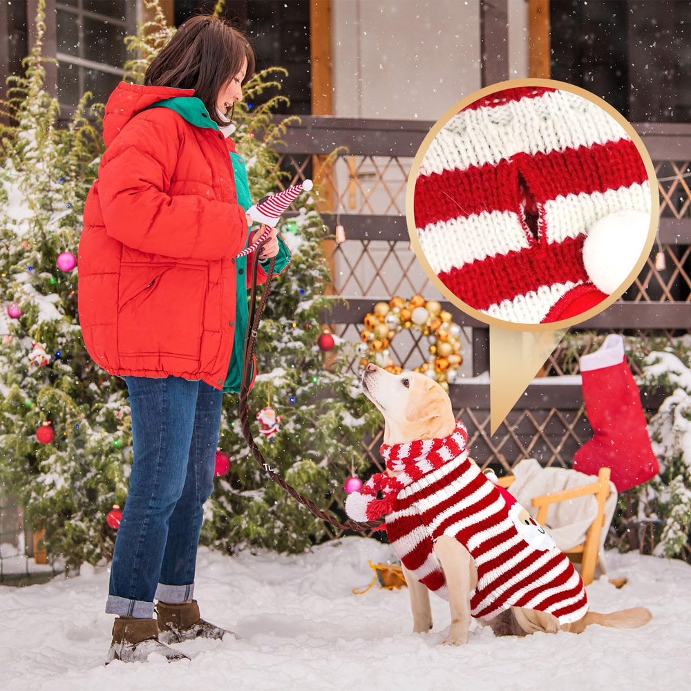 BAEJMJK dog sweater size-range feature image showing comfy fit