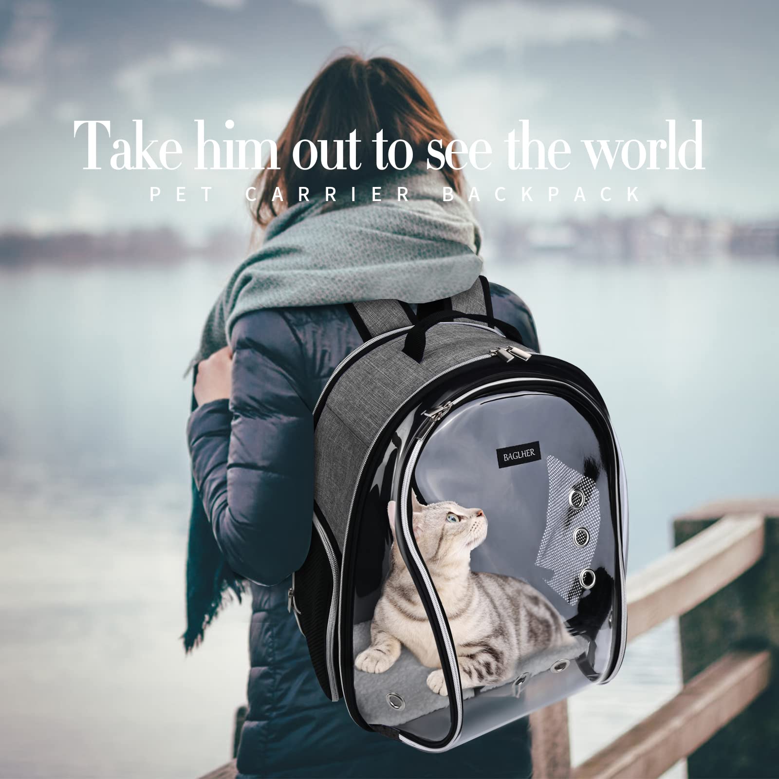 BAGLHER cat backpack bubble inside safety buckle keeps pets secure