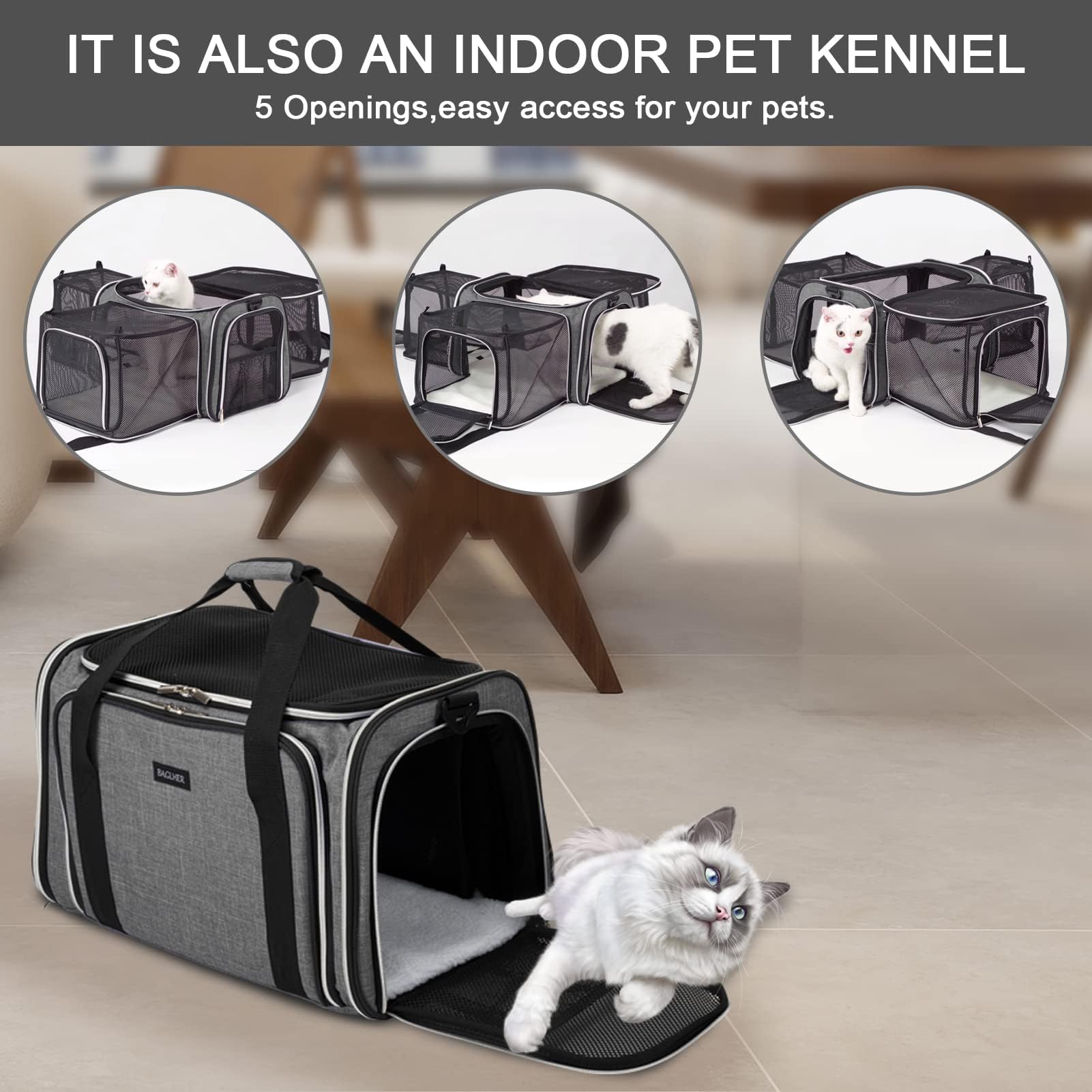 BAGLHER cat carrier versatile for car plane and vet visits.