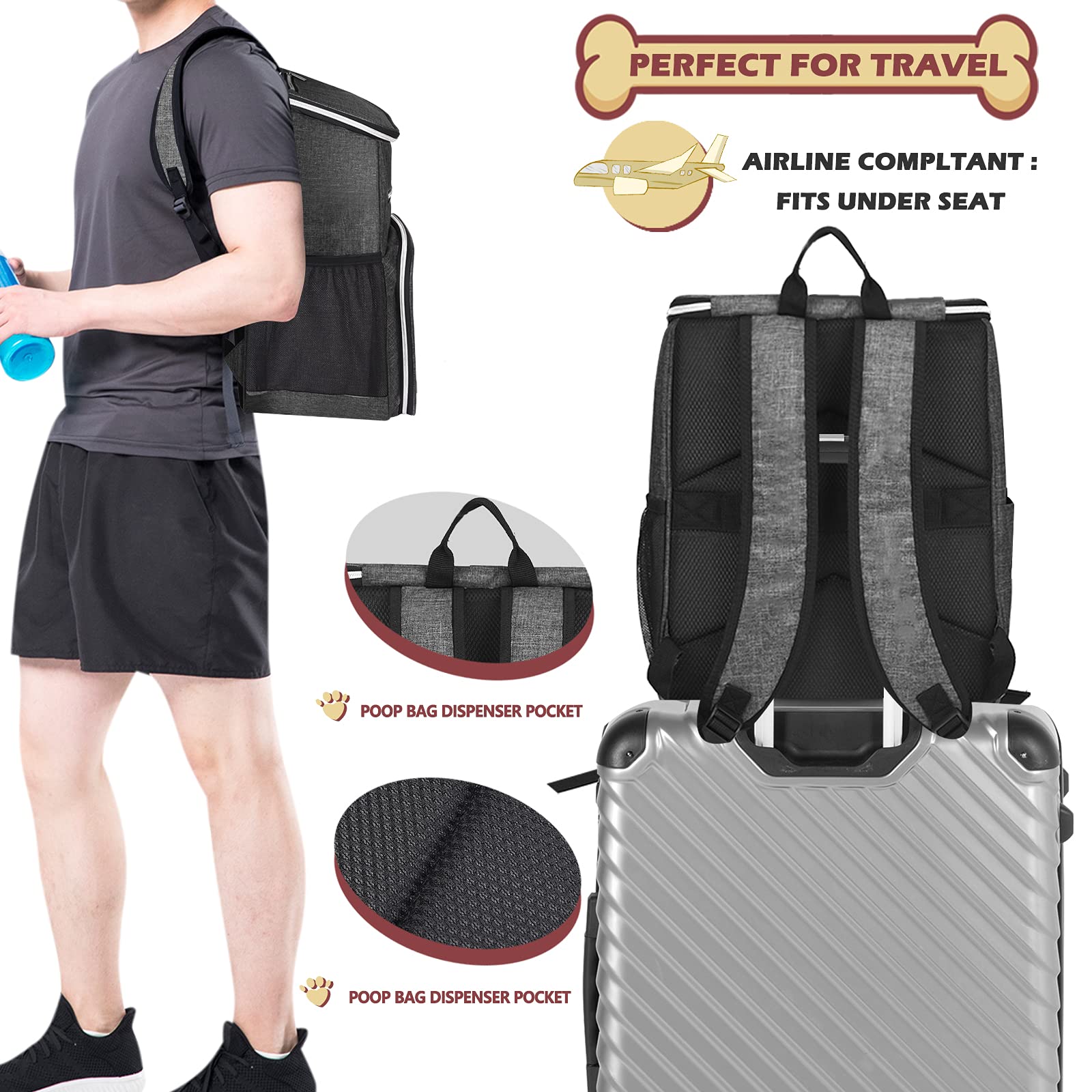BAGLHER dog travel backpack adjustable strap ensures comfortable carry on hikes