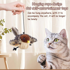 Bailconti interactive cat toy bird session engages solo playtime.