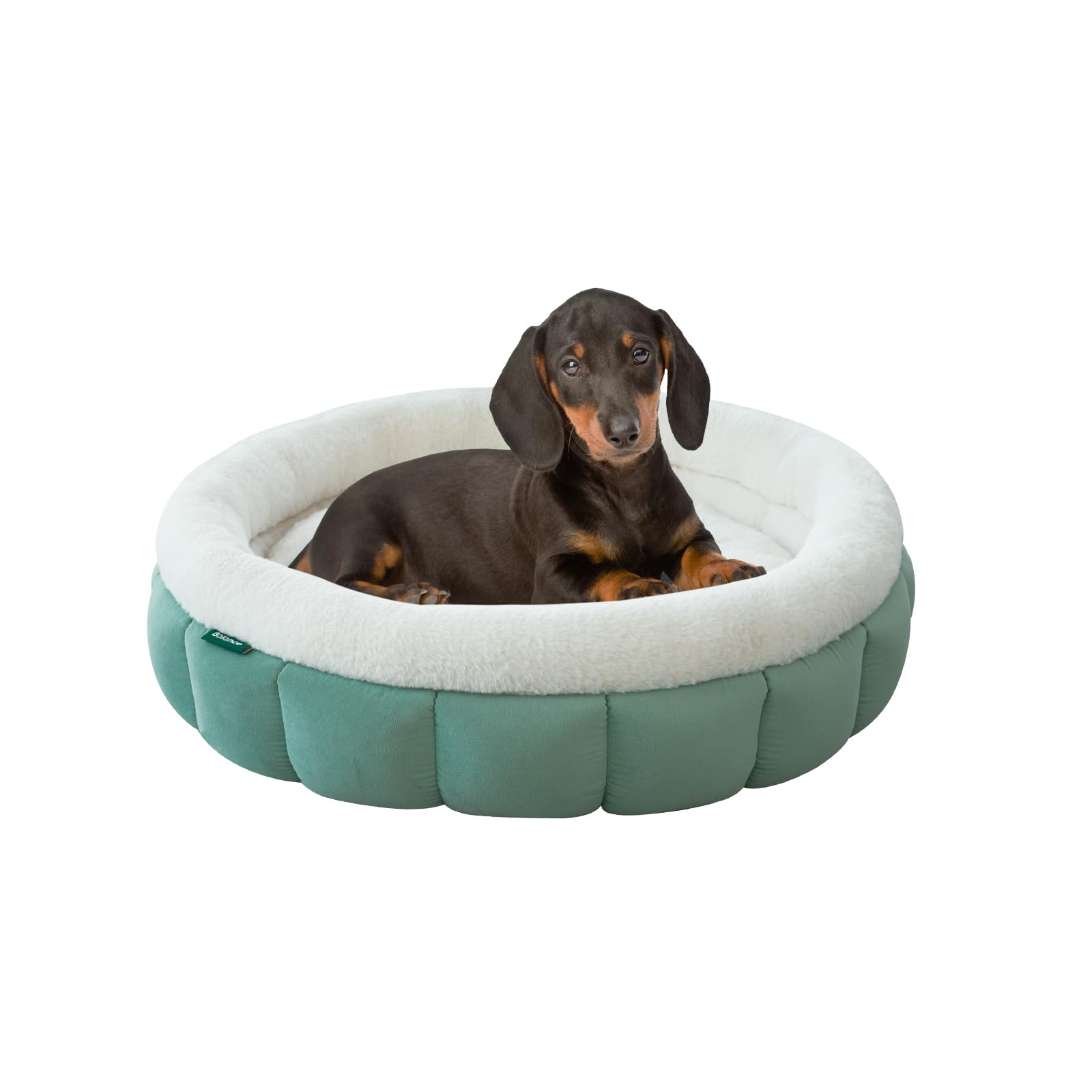 BALANCE bed expands after unpacking to regain fluffy shape