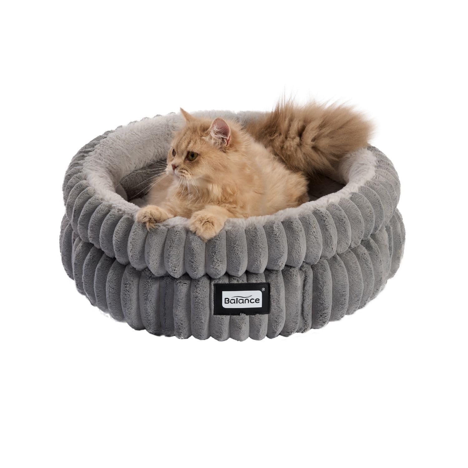 BALANCE cat bed after unpacking; expands fully within 48 hours