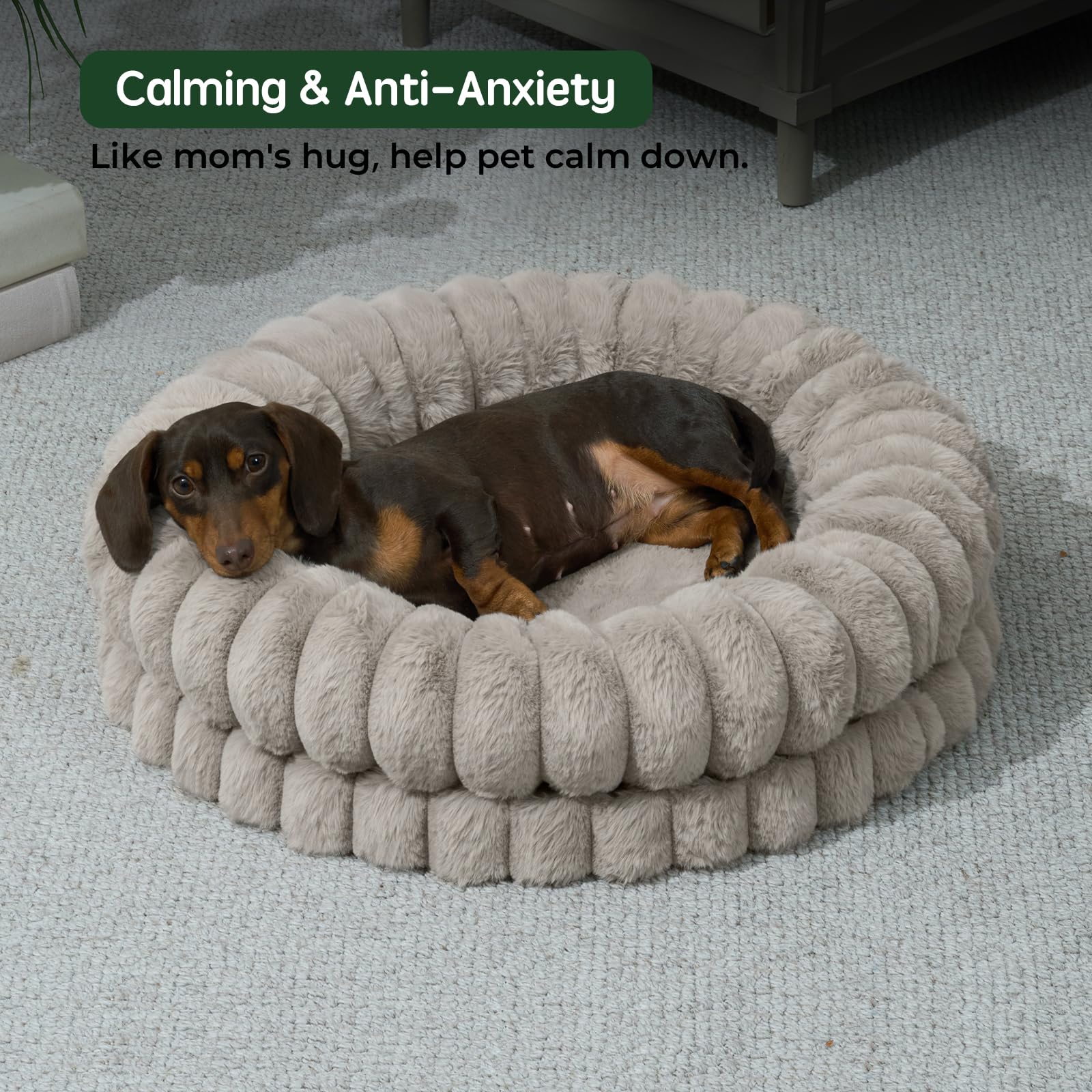 BALANCE Donut Bed with calming edge cushions neck and head for secure lounging.