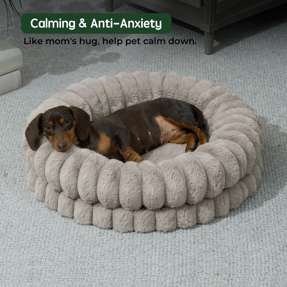 BALANCE Donut Bed with calming edge cushions neck and head for secure lounging.
