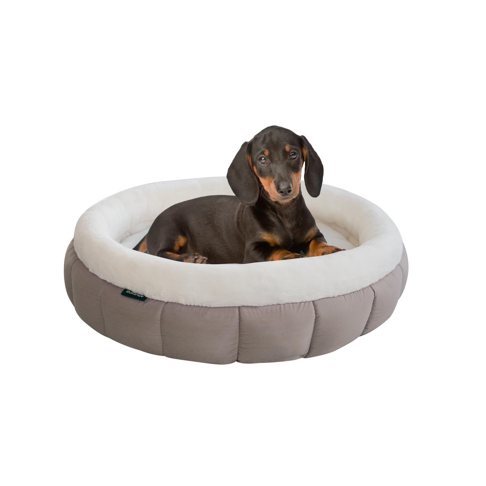 BALANCE donut bed goat packaging expanded after unpacking reveals loft.