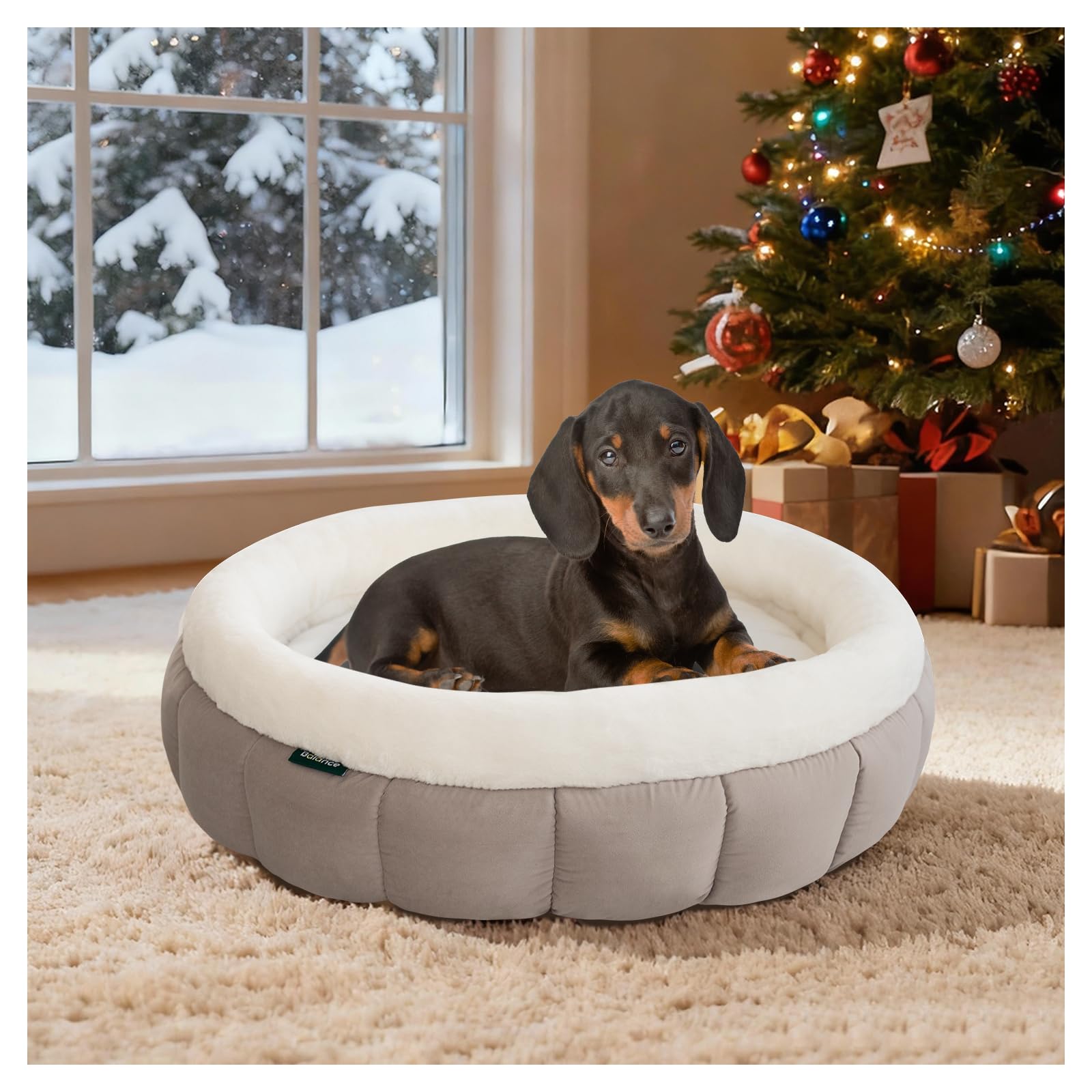 BALANCE donut bed goat round view shows cozy sleep support for small pets.