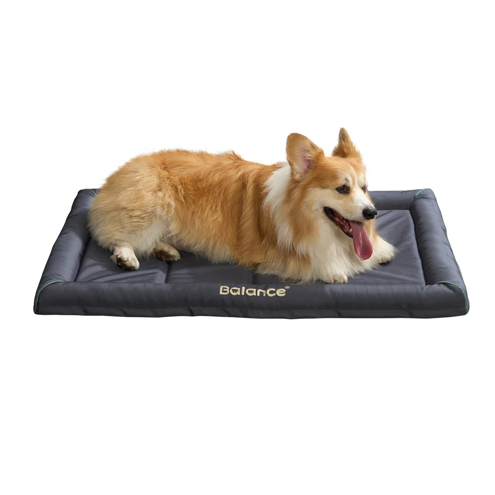 BALANCE Oxford dog bed setup hero showing a roomy 42-inch pad for comfortable large-dog rest
