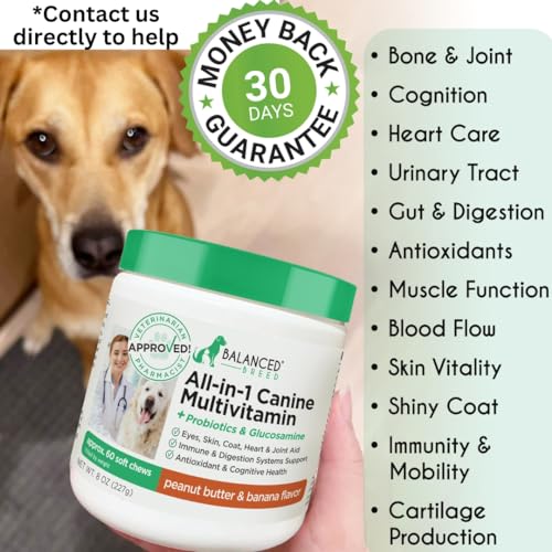 Balanced Breed dog vitamins label closeup highlights ingredients for skin, coat, and immune support.