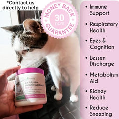 Balanced Breed L-Lysine Cats bottle packaging shows easy daily dosing.