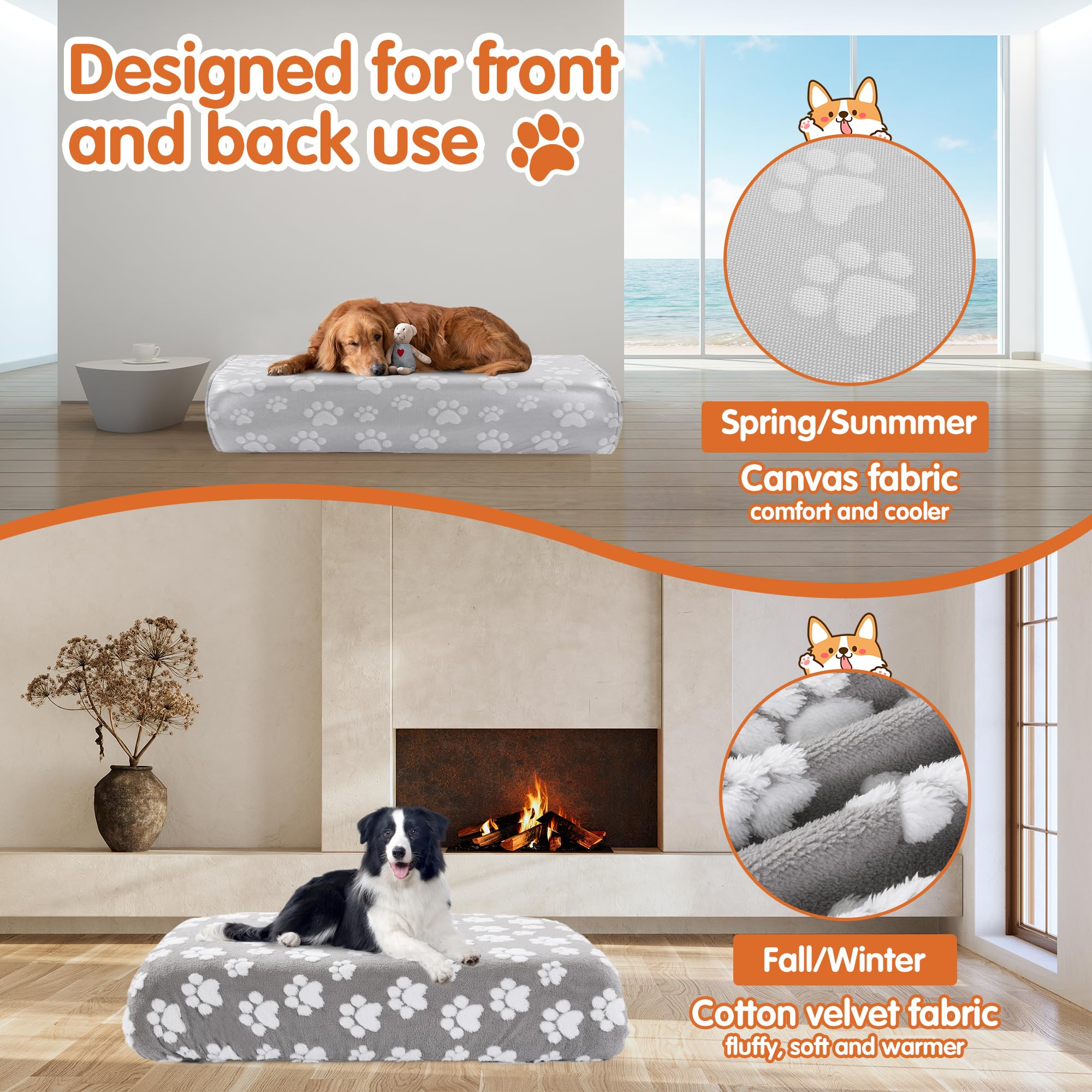 BALAPET elastic band shows 360° snug fit for non-slip security.