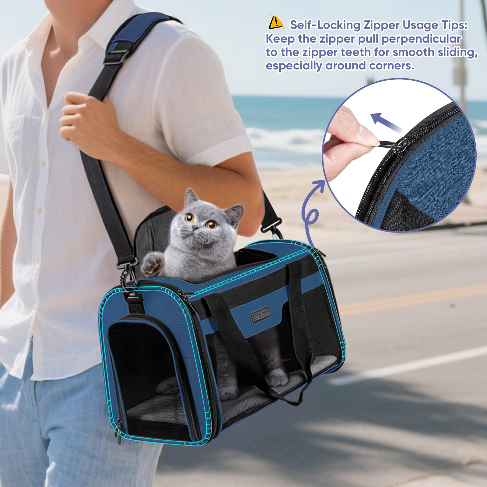 BALEINE Cat Carrier collapsible design makes storage easy when not in use.