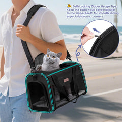 BALEINE cat carrier collapsible design for easy storage