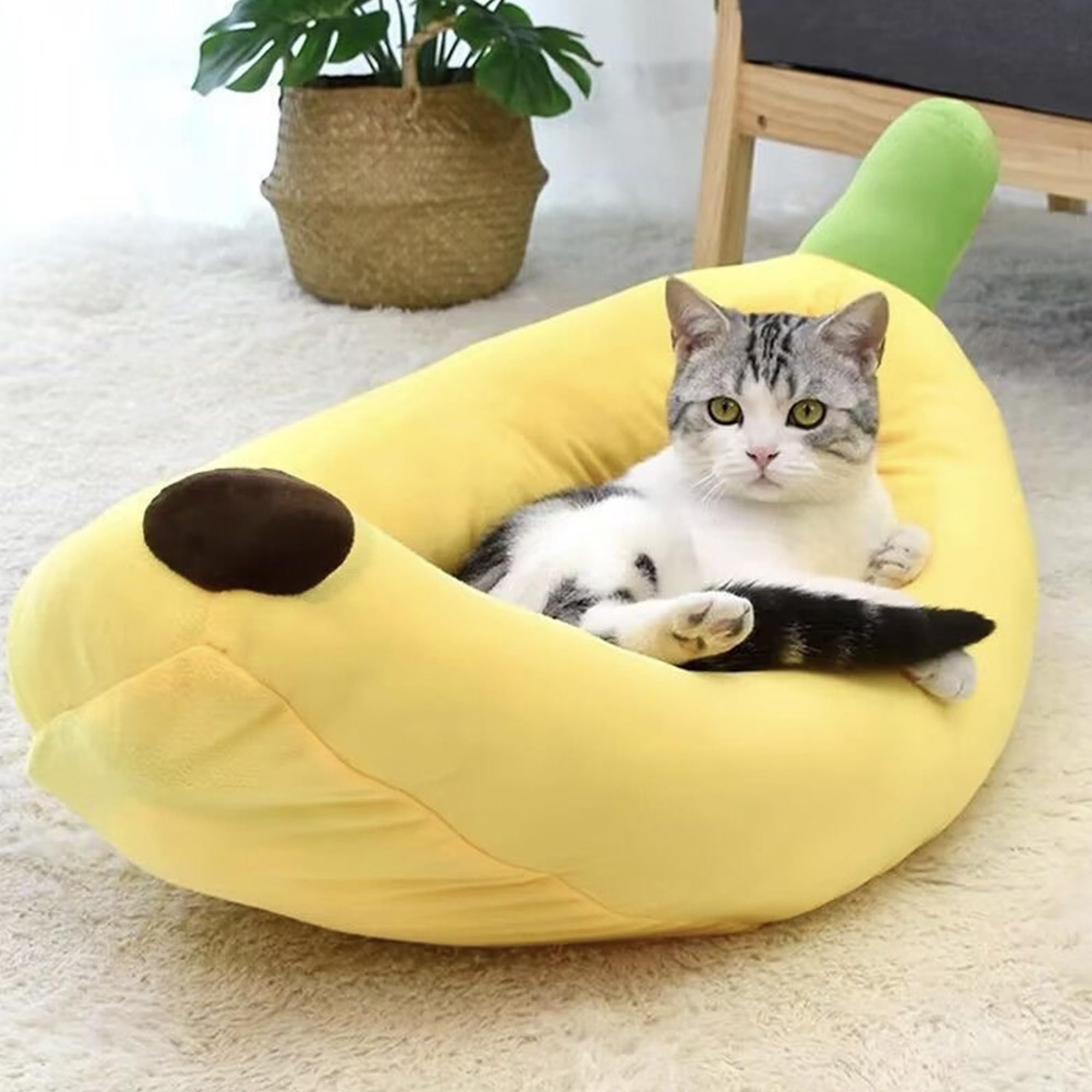 Banana bed ideal for curling up after play, supporting calm naps