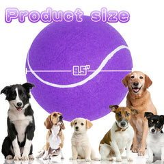 Banfeng big tennis ball for dogs front view, purple 9.5in great for chasing and training