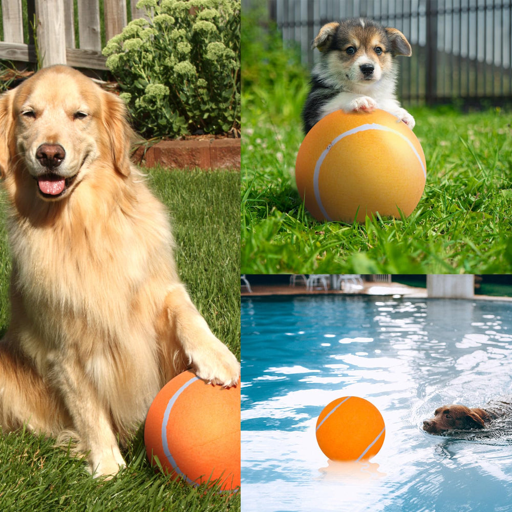 Banfeng dog tennis ball packaging includes inflating needles.