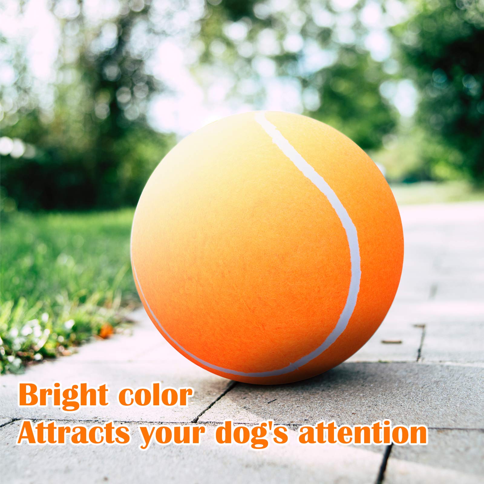 Banfeng orange dog ball during park play boosts interaction.