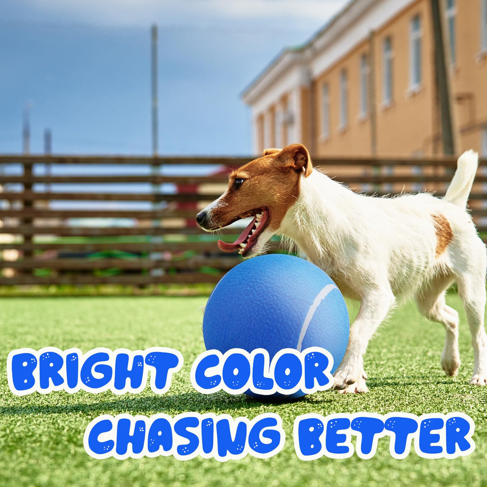 Banfeng Big Tennis Ball for Dogs blue park play — ideal for outdoor exercise and courtyard play.