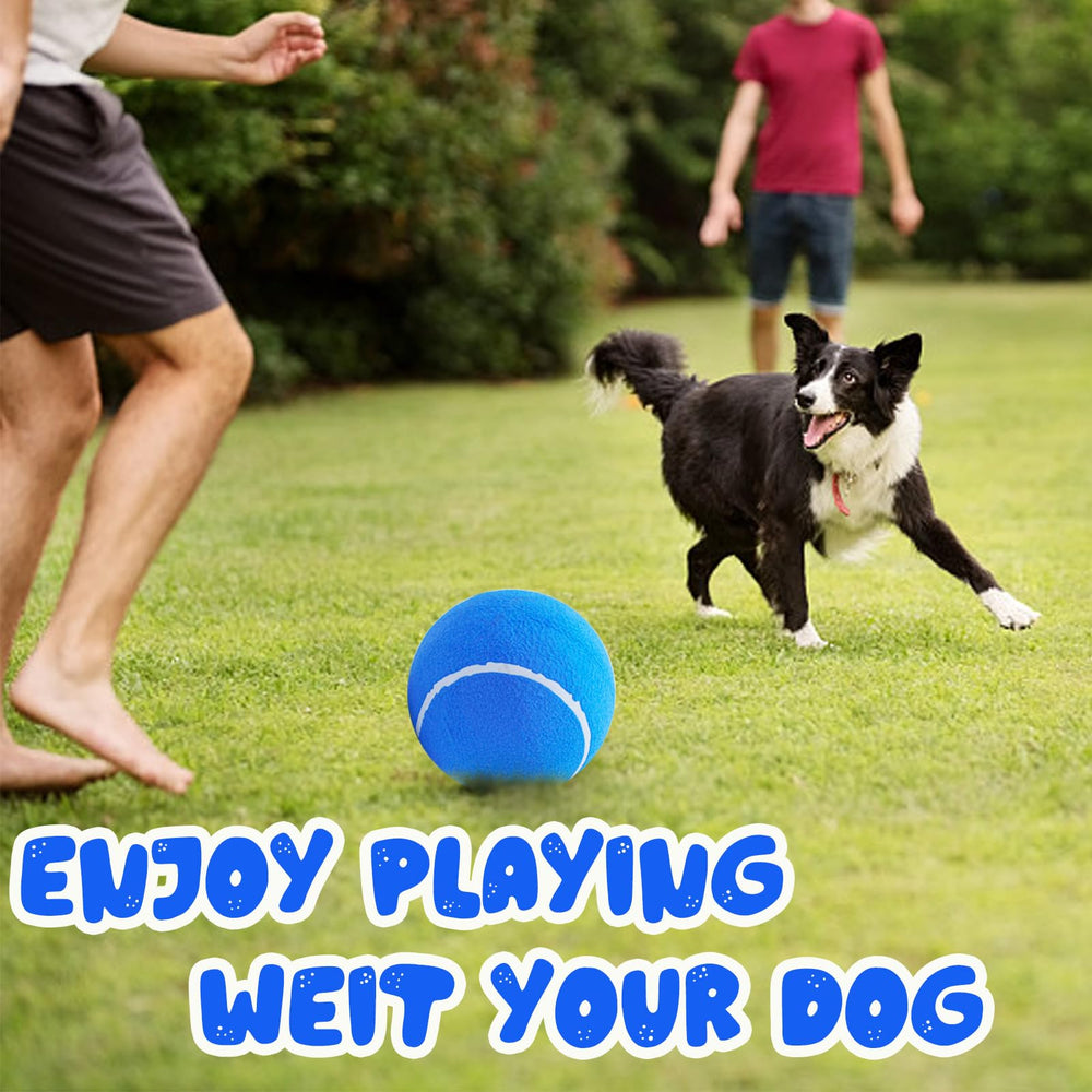Banfeng Big Tennis Ball for Dogs blue training usage — large size encourages dogs to run and stay active.