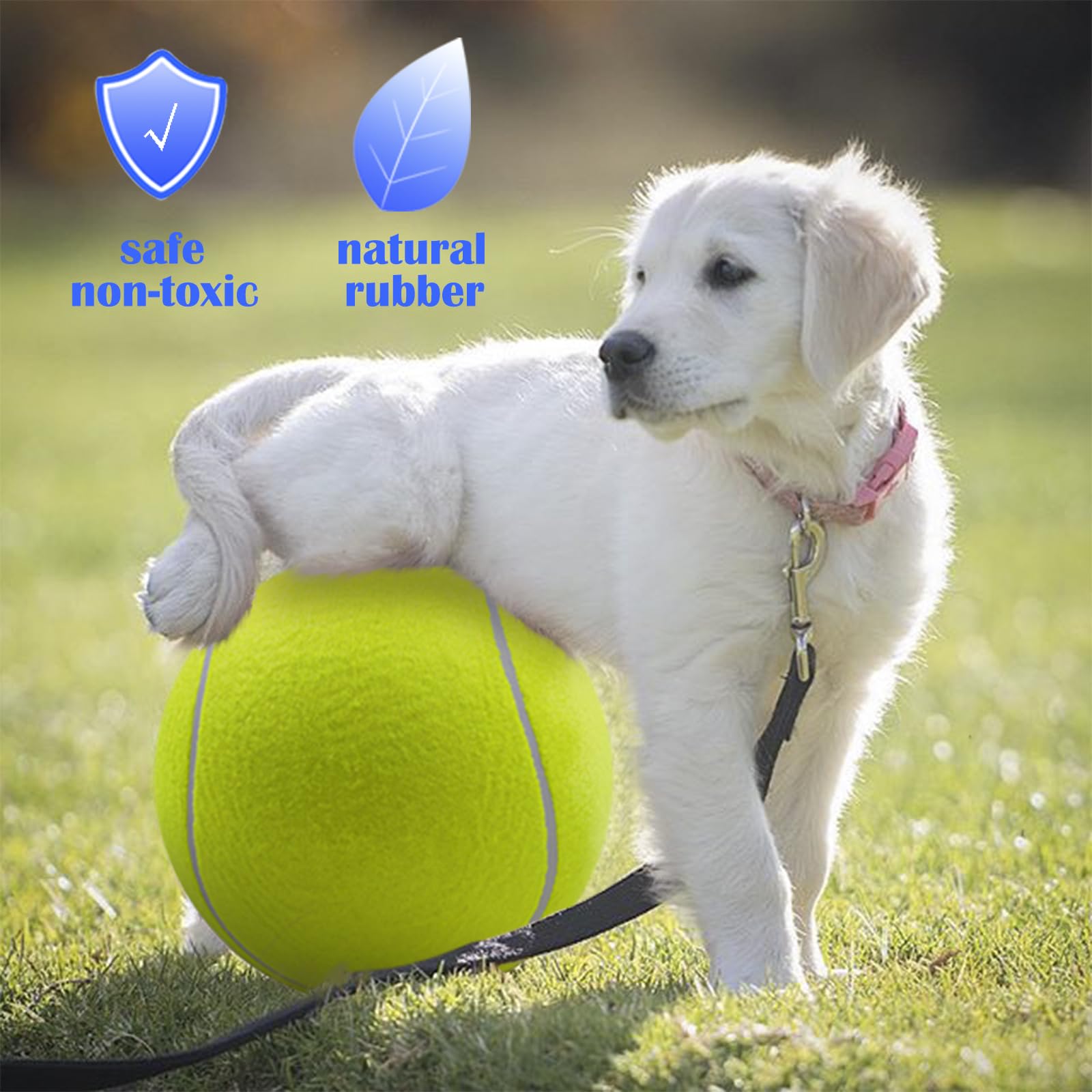 Banfeng Big Tennis Ball for Dogs—outdoor play, bright color improves visibility during fetch.