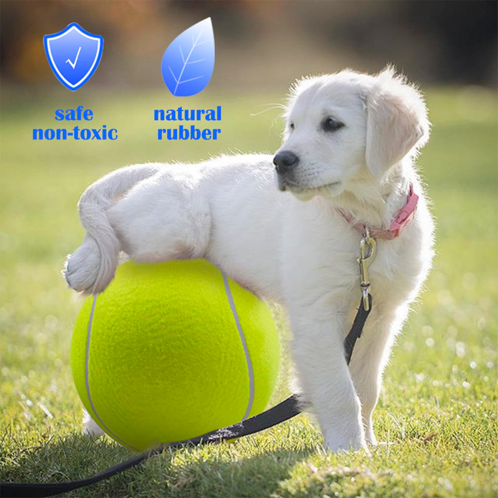 Banfeng Big Tennis Ball for Dogs—outdoor play, bright color improves visibility during fetch.