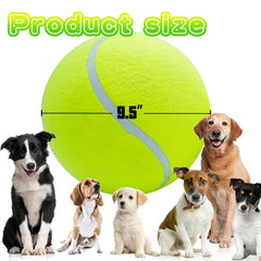 Banfeng Big Tennis Ball for Dogs—natural rubber and thick felt deliver durable play.