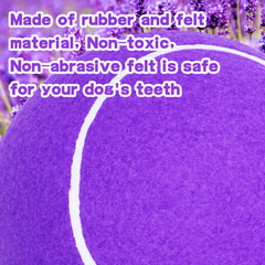 Banfeng dog play outdoors with giant ball for exercise and park fun