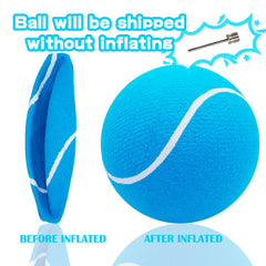 Banfeng Big Tennis Ball for Dogs dog-playing close-up for interactive games