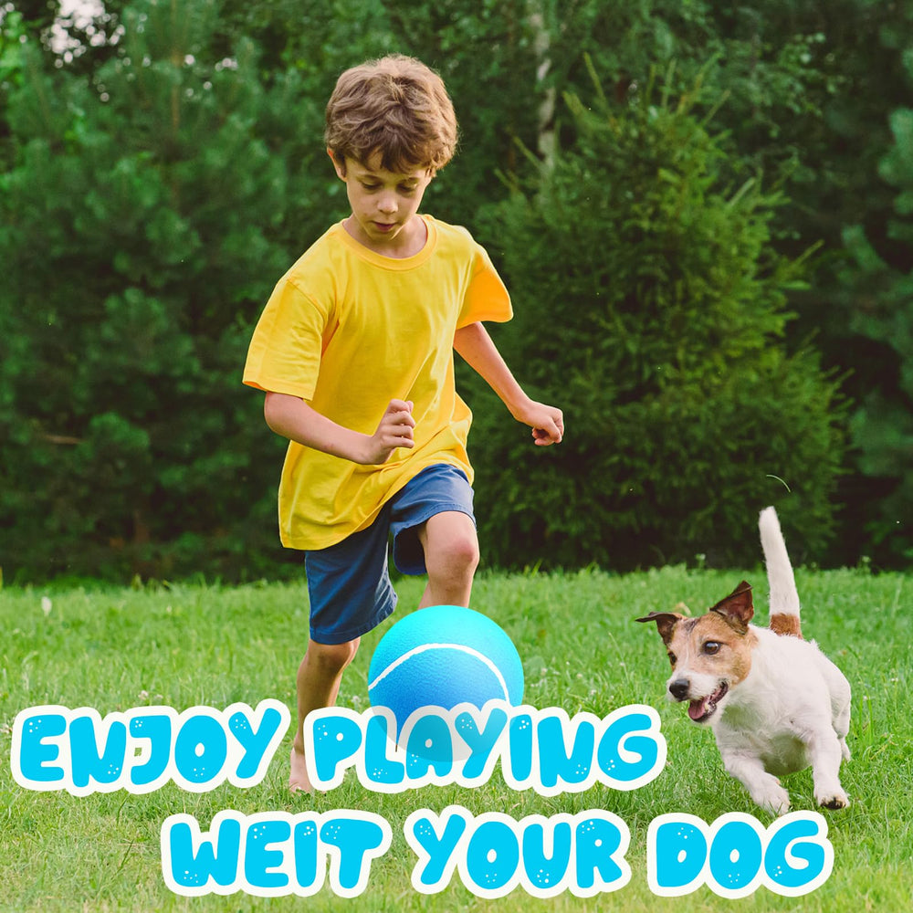 Banfeng Big Tennis Ball for Dogs packaging uninflated status before use