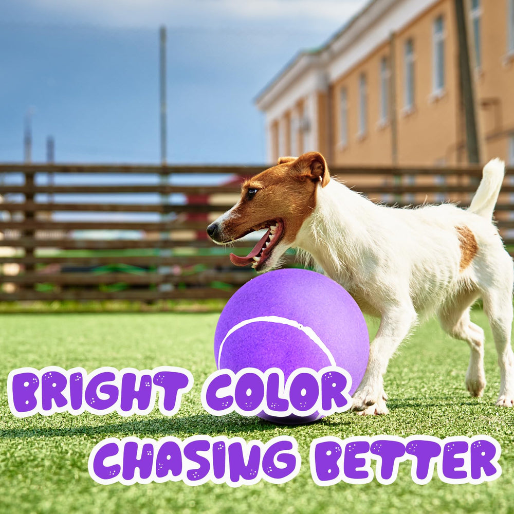 Banfeng gift ball for pets and families, enhances bonding during playtime