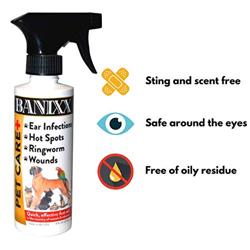 Banixx Pet Care Spray is safe for all ages and breeds of pets.