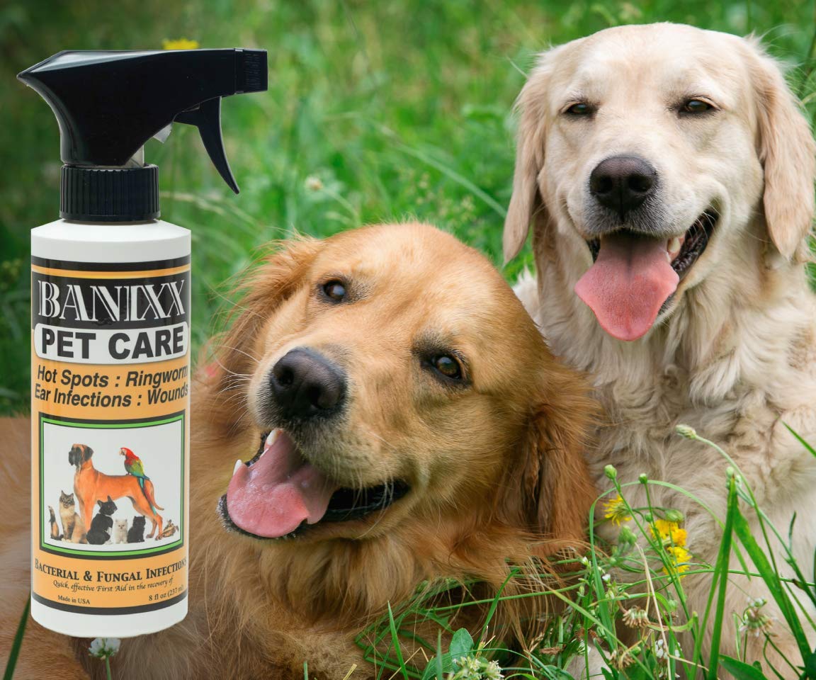 Banixx Pet Care Spray leaves no stain, residue, or color on fur.