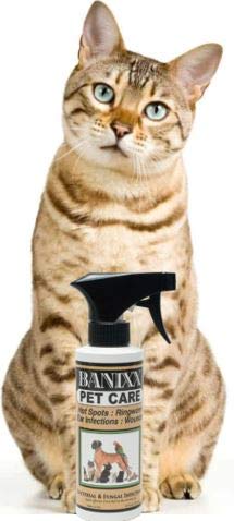 Banixx Pet Care Spray odor-free formula keeps coats smelling fresh.
