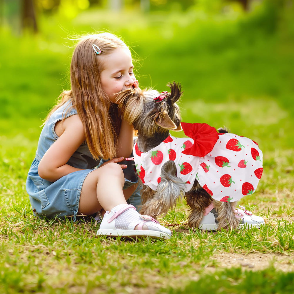 BAOBICUTE strawberry print dress offers easy-on design for quick wardrobe changes.
