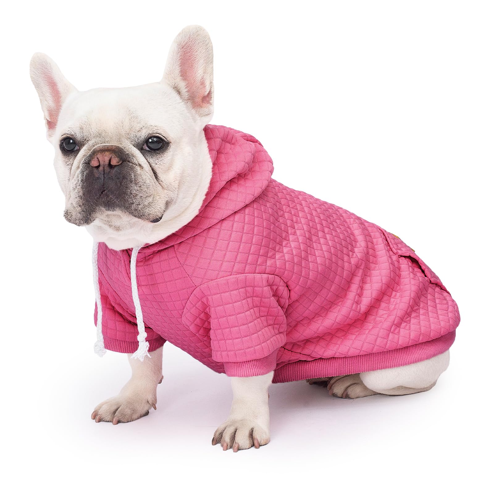 Baobicute dog hoodie two-pack display highlights convenient color options.