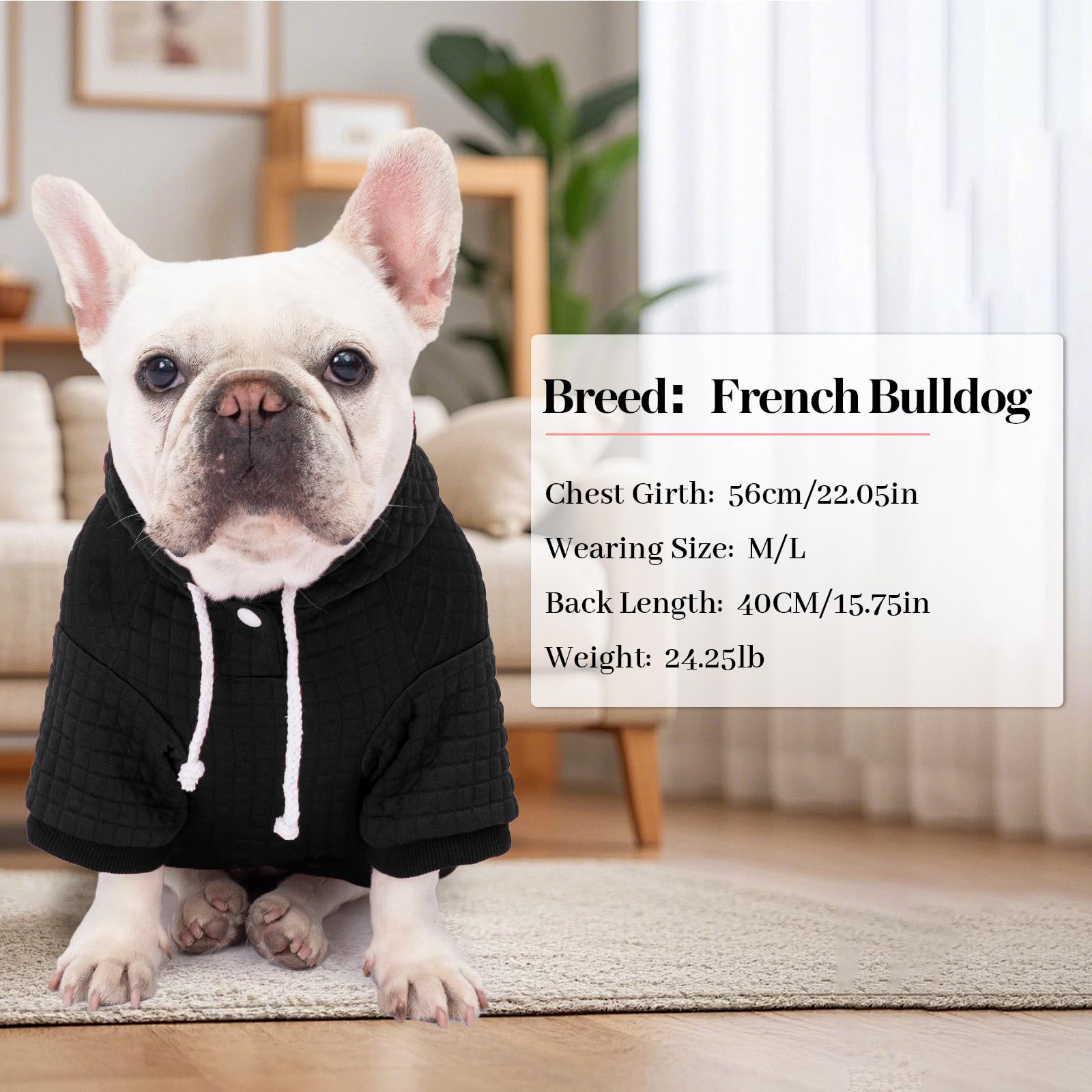 BAOBICUTE dog hoodie in waffle fabric adds texture and warmth for colder days.