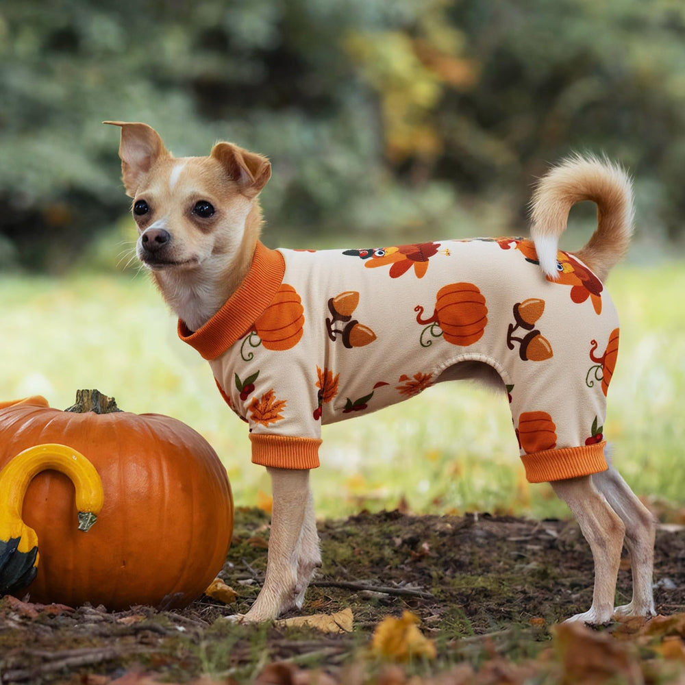 BAOBICUTE easy-on-off dog pajamas for quick changes
