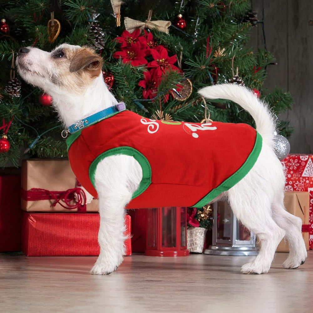 BAOBICUTE dog shirt back pattern reveals festive design for holiday photos.