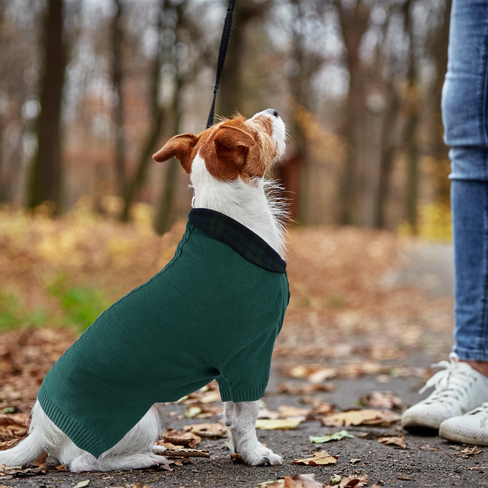 BAOBICUTE dog sweater Christmas themed cozy outfit