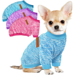 Baobicute dog sweater rose model wearing warm cozy knit for small dogs.