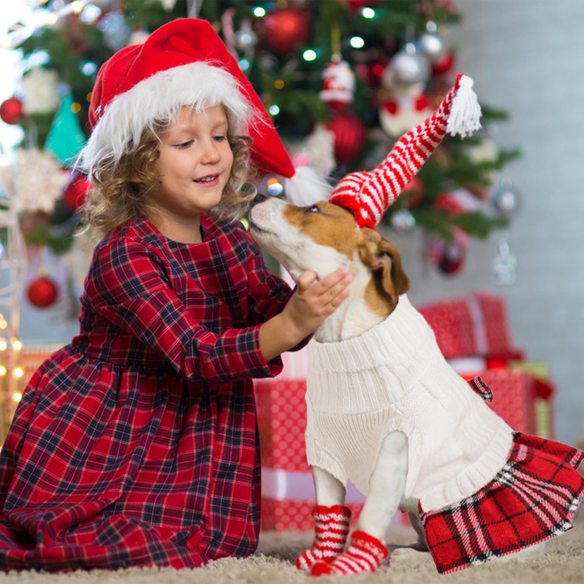 BAOBICUTE festive sweater suitable for small to medium dogs and cats