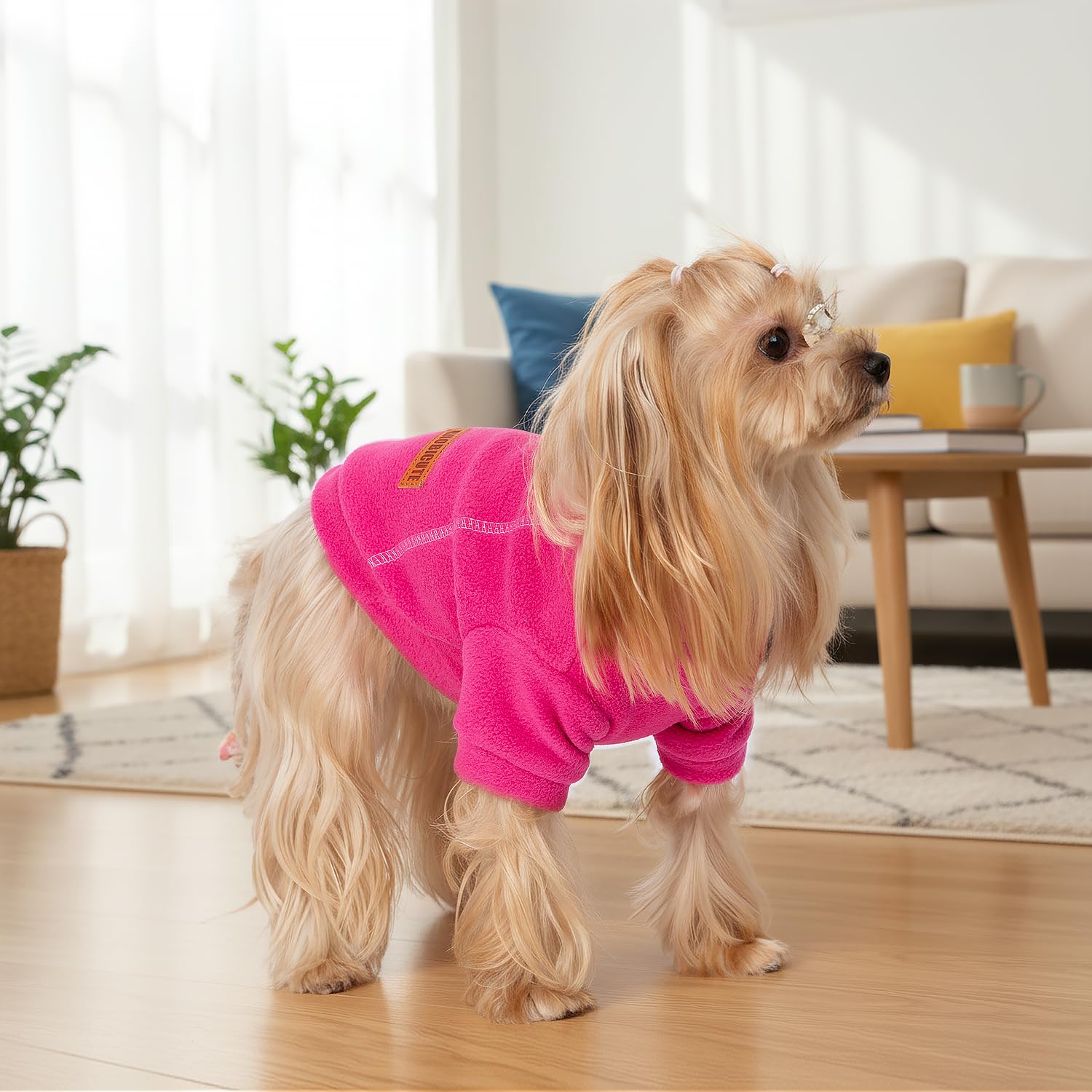 BAOBICUTE high-cut belly sweater highlighting cleaner potty breaks and snug fit.