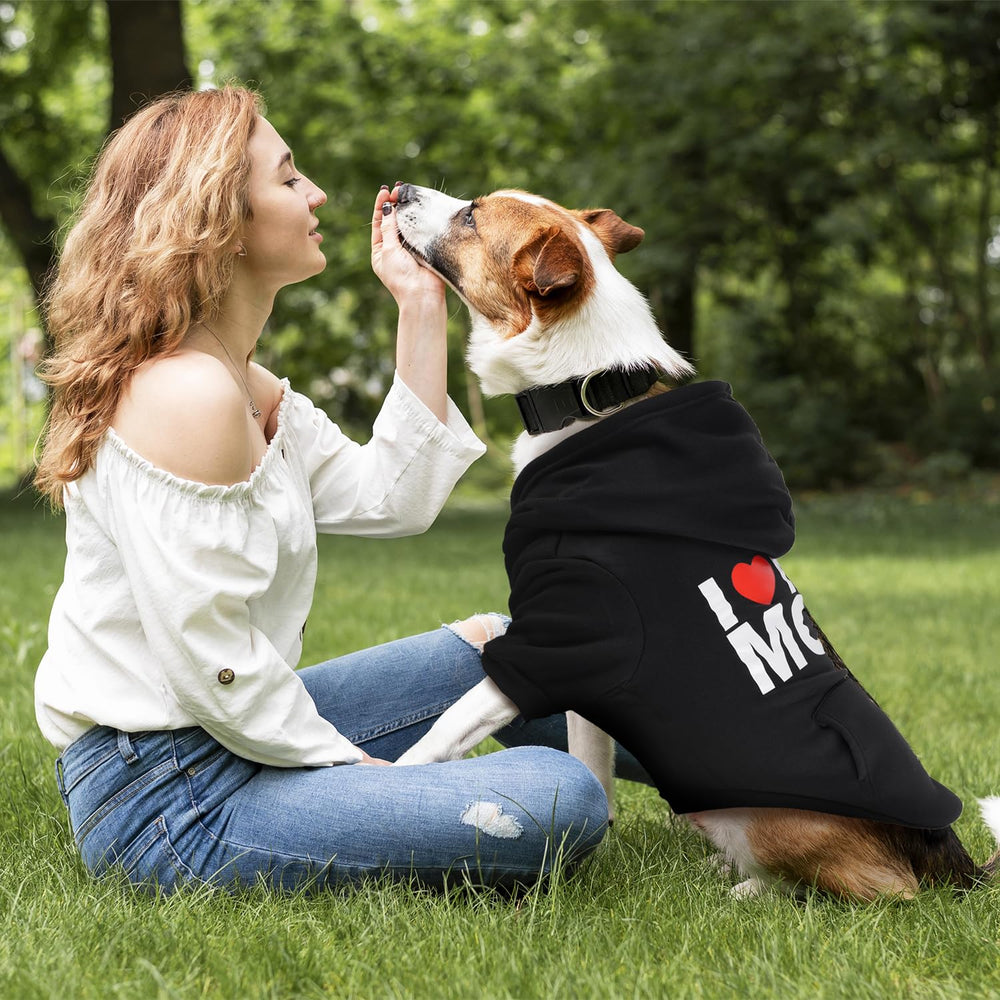 BAOBICUTE large-dog hoodie in action during outdoor walks