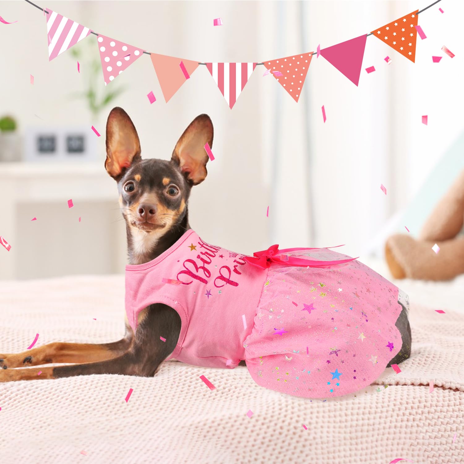 Baobicute pink bow details create a party-ready pet look.