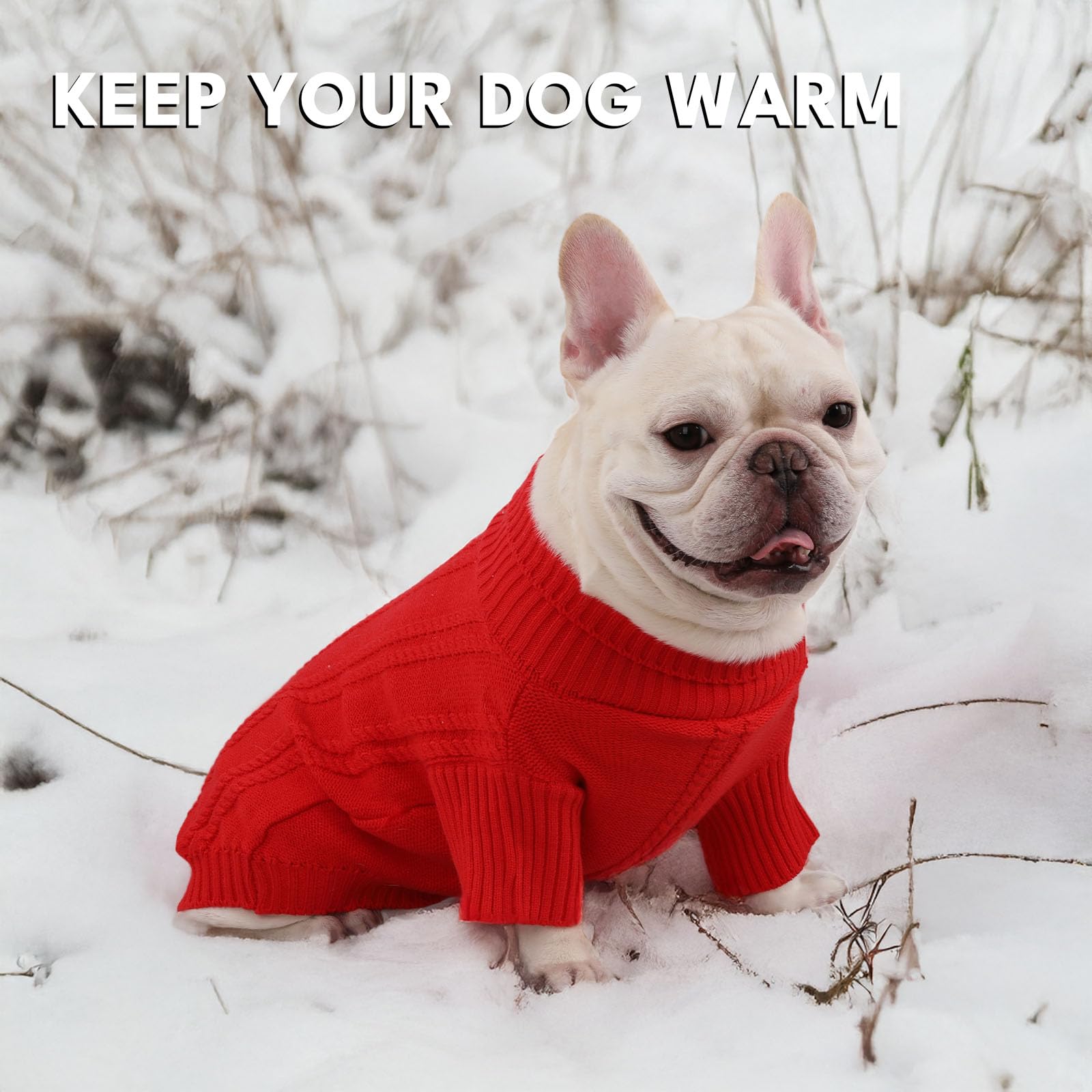 Baobicute small dog sweater in holiday colors for festive occasions.