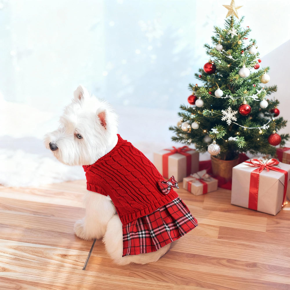 BAOBICUTE small dog sweater worn by a pup for all-day comfort.