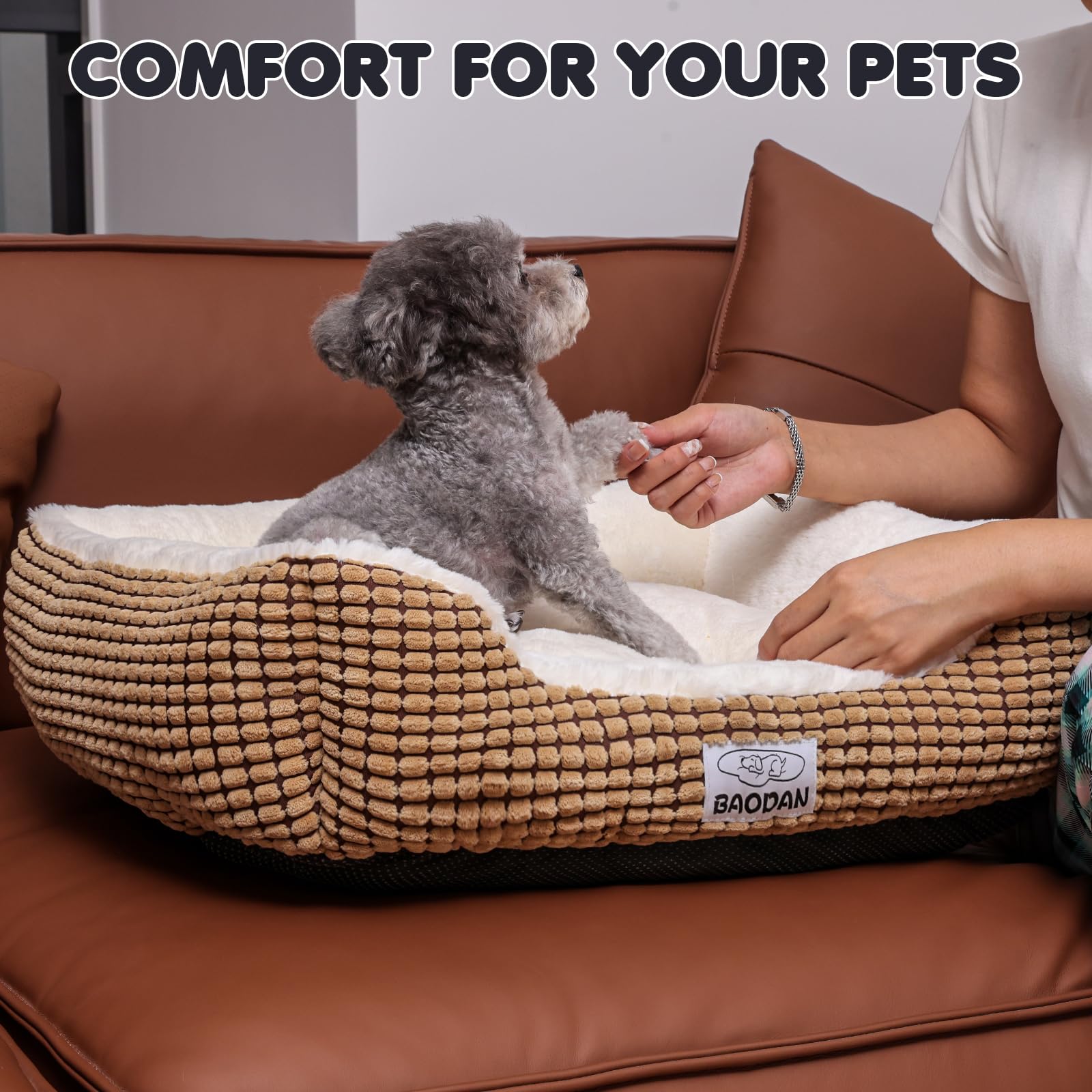 Baodan bed in use by a small dog and a cat enjoying a snug spot