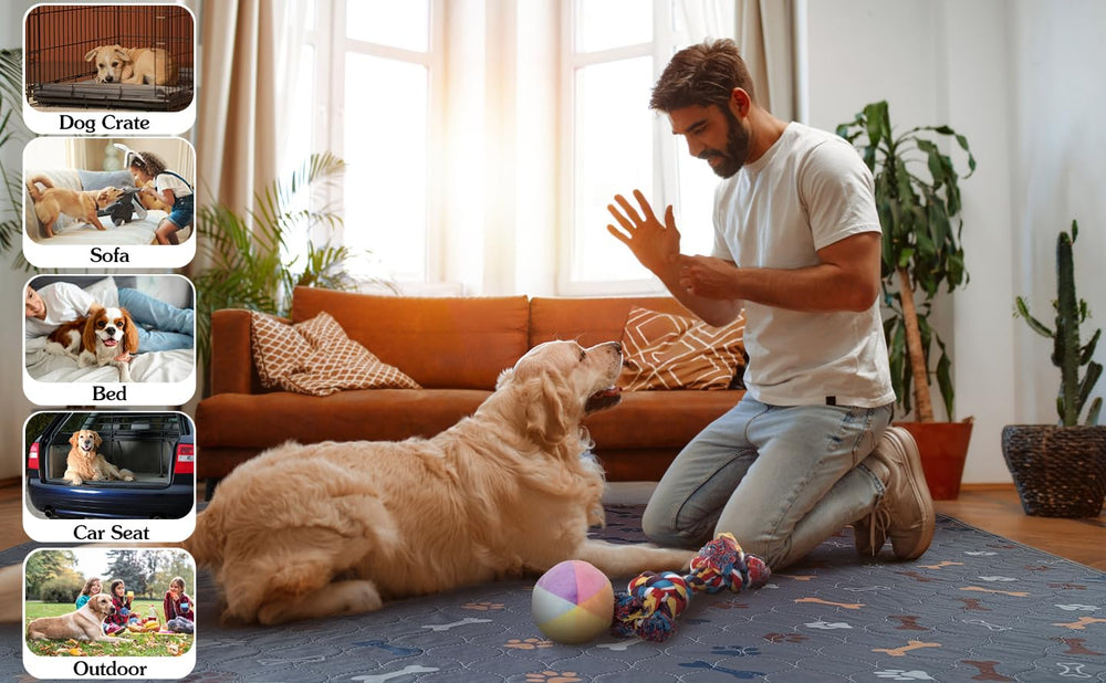 Baodan pads come in sizes to fit any dog.